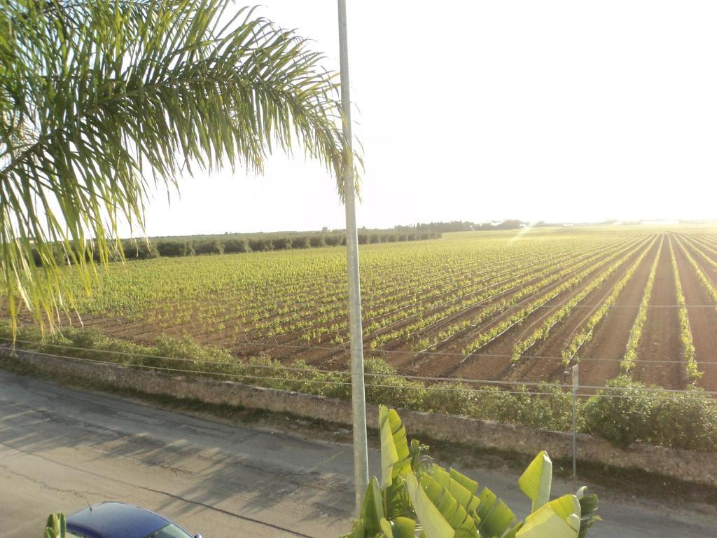 莱韦拉诺Eco Green La Vigna住宿加早餐旅馆 客房 照片