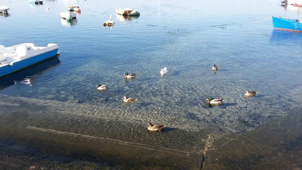 莱韦拉诺Eco Green La Vigna住宿加早餐旅馆 外观 照片